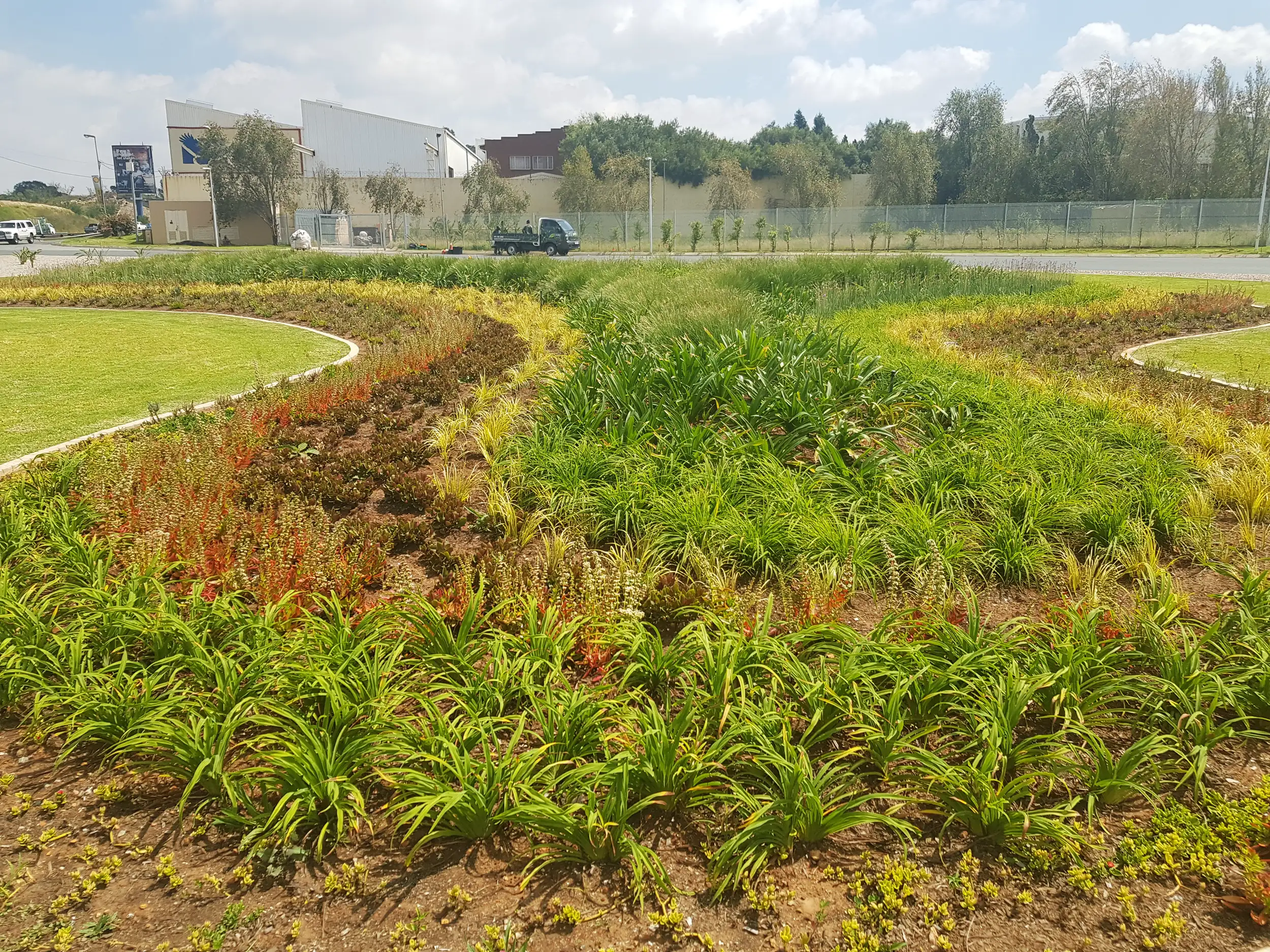 Commercial Landscaping project in Johannesburg by Living Green Landscapes