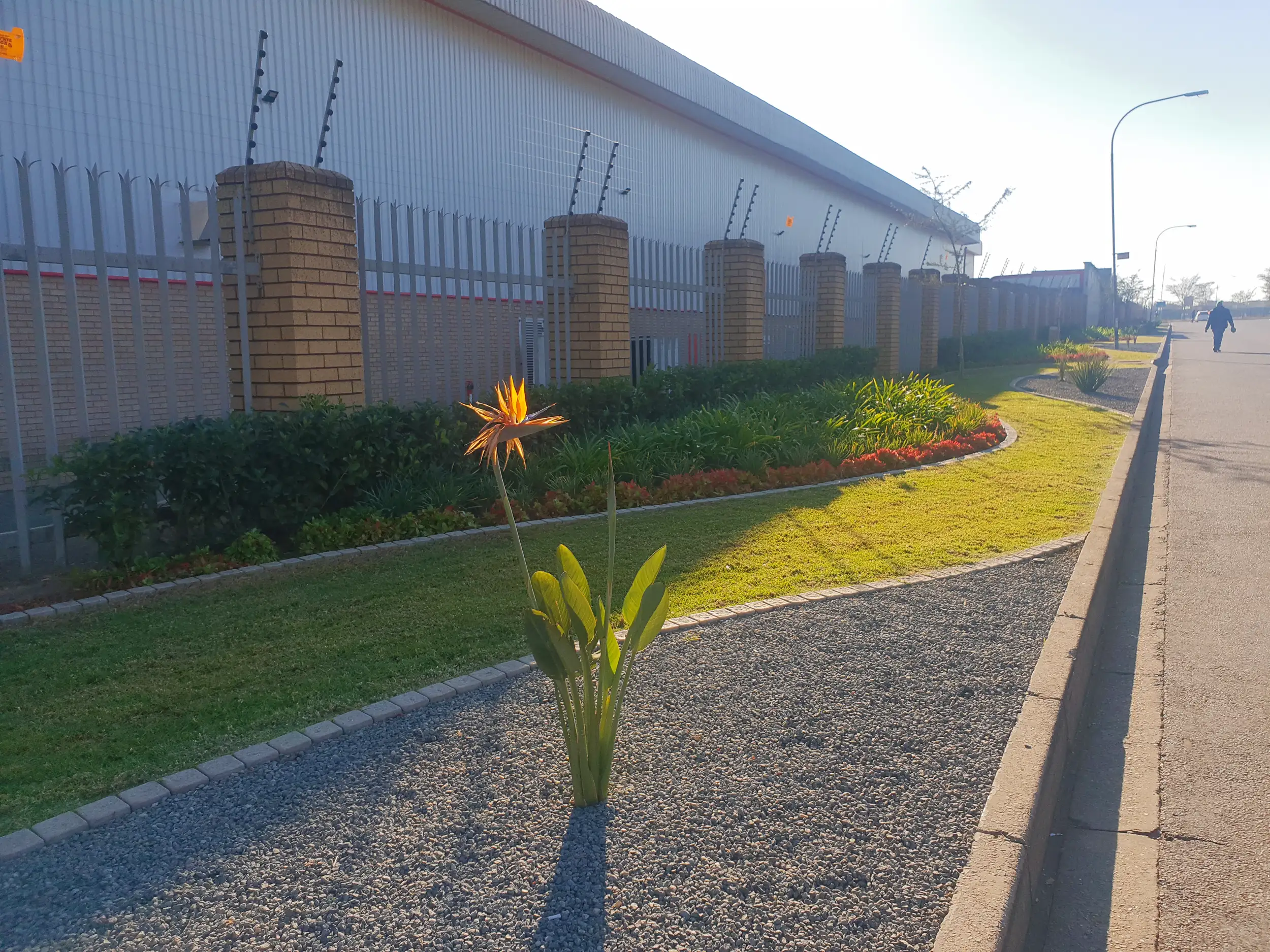 Commercial Landscaping project in Johannesburg by Living Green Landscapes