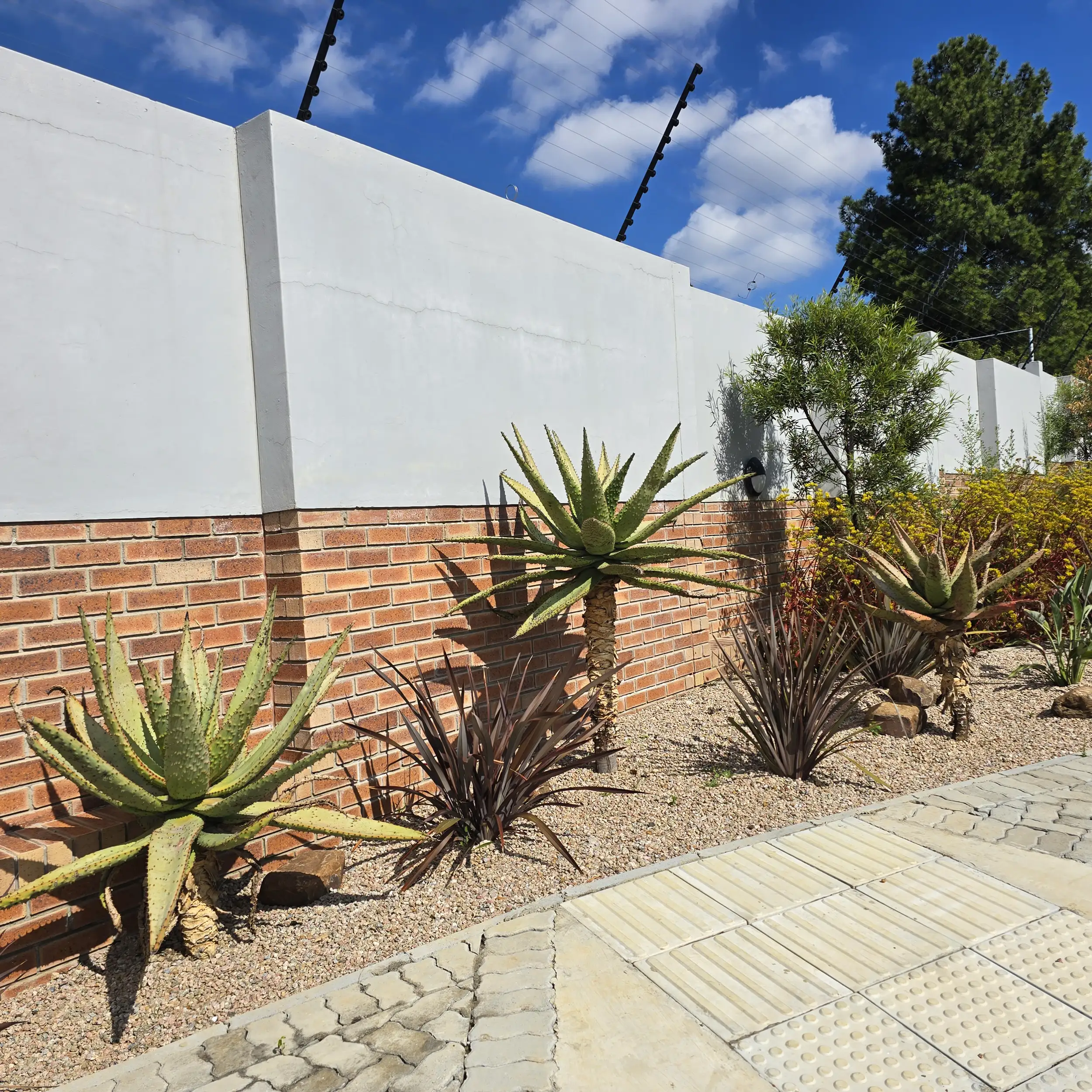 Commercial Landscaping project in Johannesburg by Living Green Landscapes