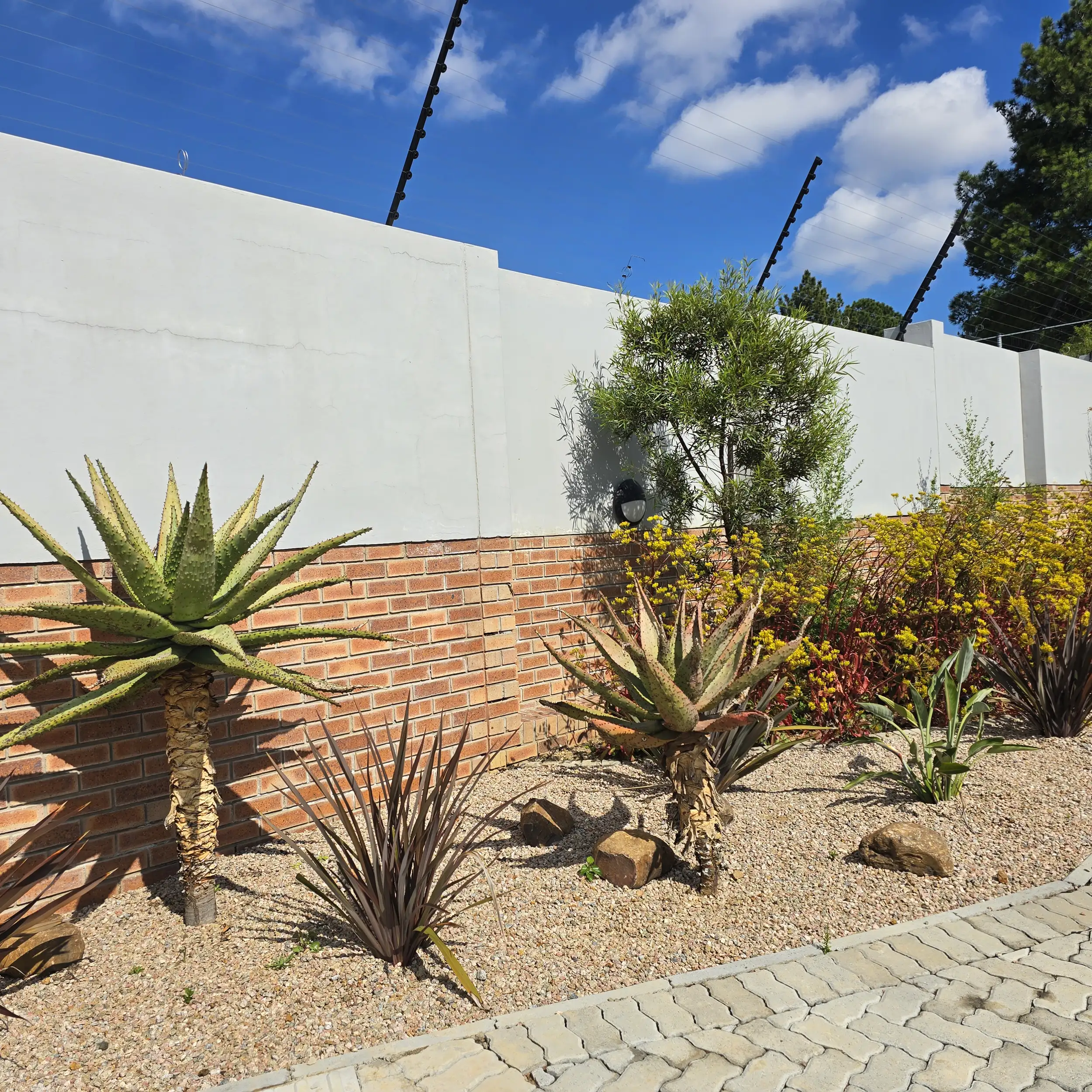 Commercial Landscaping project in Johannesburg by Living Green Landscapes