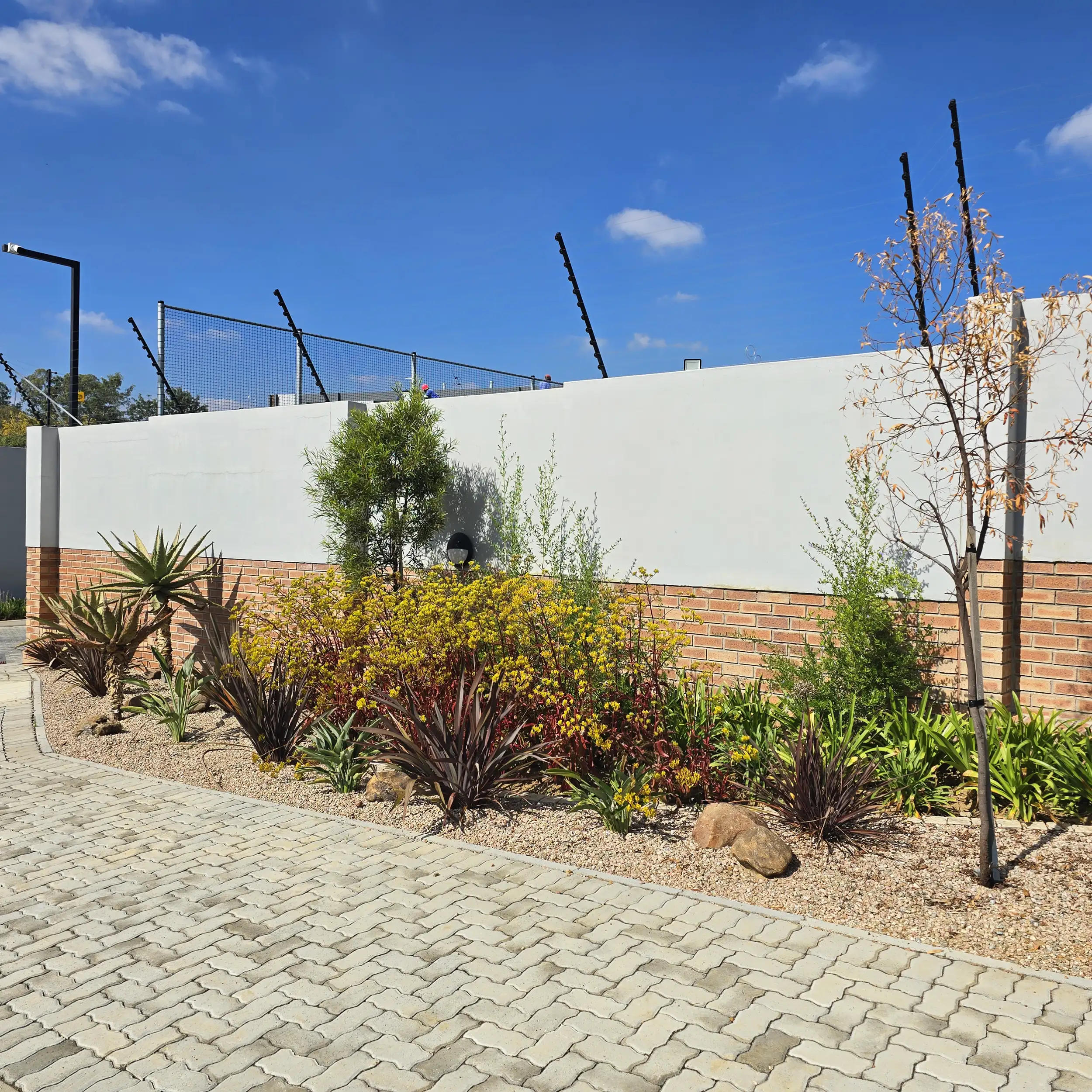 Commercial Landscaping project in Johannesburg by Living Green Landscapes