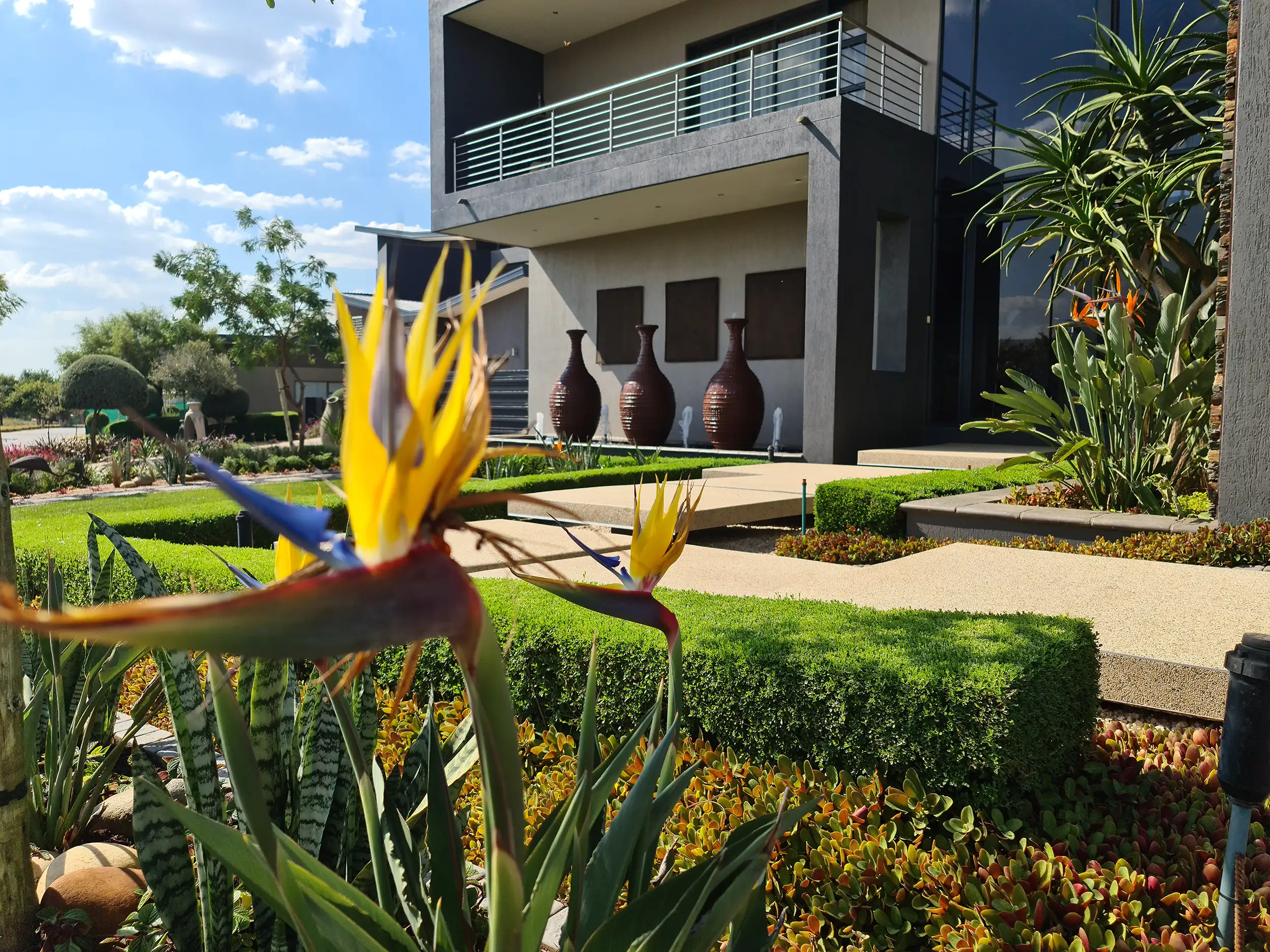 Landscaping project in Johannesburg by Living Green Landscapes